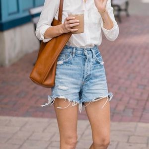 AGOLDE Dee Denim Shorts Ricochet Wash